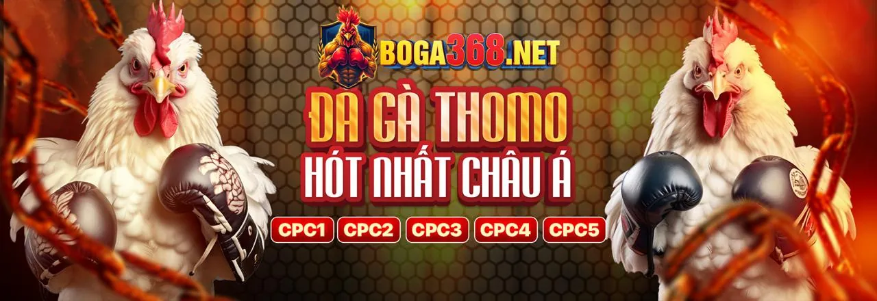 Hình ảnh tượng trưng cho dấu hiệu vấn đề cờ bạc